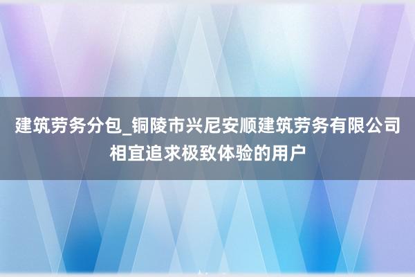 建筑劳务分包_铜陵市兴尼安顺建筑劳务有限公司相宜追求极致体验的用户