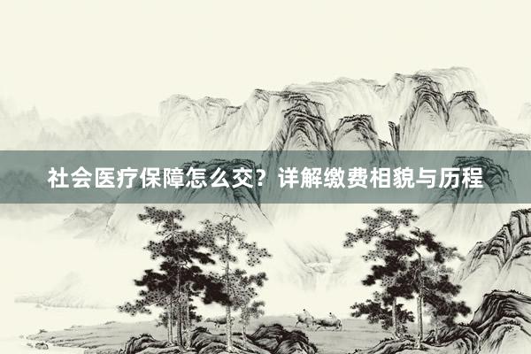社会医疗保障怎么交？详解缴费相貌与历程