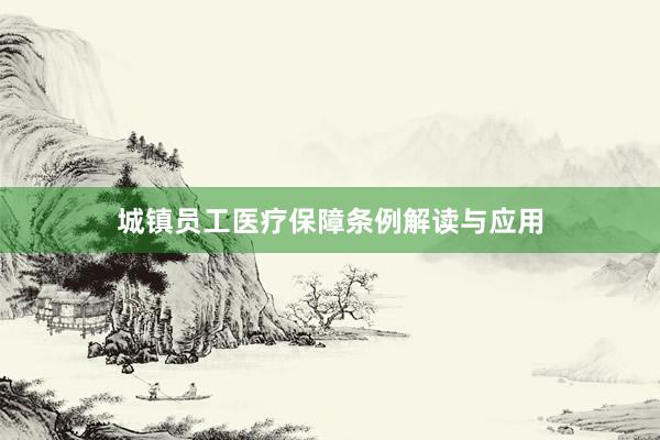 城镇员工医疗保障条例解读与应用