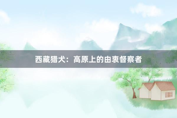 西藏猎犬：高原上的由衷督察者